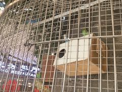 -东四民芳餐厅(世茂工三店)