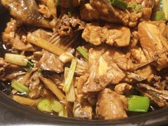 现杀果园鸡—黄焖鸡-生态苑农庄(十里画廊遇龙河店)