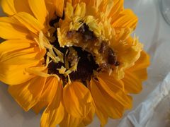 -索菲特酒店·乐轩华中餐厅