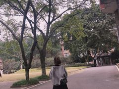 -黄桷坪涂鸦艺术街