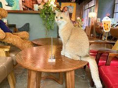 -咖法森林·咖啡  酒吧(天河店)