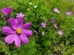 -丽江泸沽湖景区