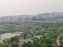 -王借岗森林公园