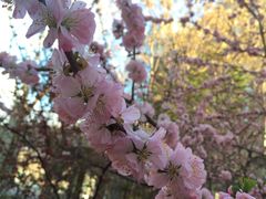-辽宁大学(崇山校区)