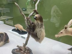 -国家自然博物馆