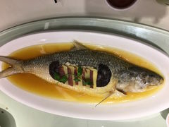 清蒸鲥鱼-圆苑(上海广场店)