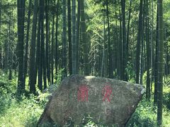 -天下银坑