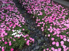 -星巴克(汇亚大厦店)