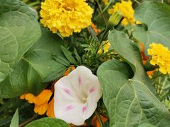 -永定河休闲森林公园