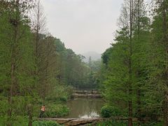 -云溪植物园