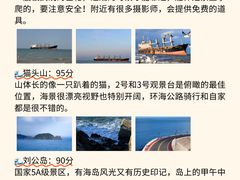 -幸福门