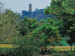 -南沙蒲洲花园