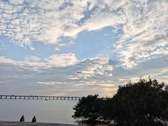 -宝安西湾红树林湿地公园