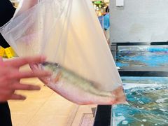 -盒马鲜生(大行宫店)