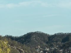 -关山牧场王师烤全羊