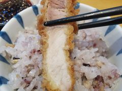 -胜博殿日式炸猪排(西红门店)