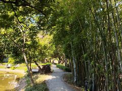 -林丰温泉度假山庄