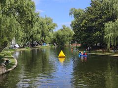 -上海共青森林公园