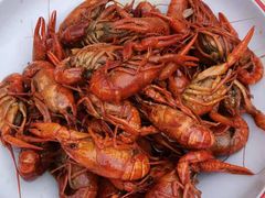 -不炭白烧烤(成都首店)