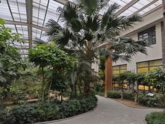 -南宫五洲植物乐园