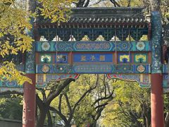 -北京国子监胡同