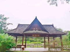 -中国科学院西双版纳热带植物园