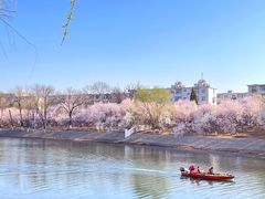 -桃花堤公园
