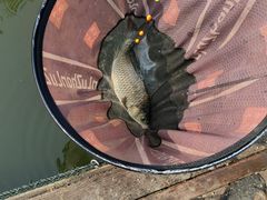 -酷鱼垂钓CLUB(朝阳区博大路店 )