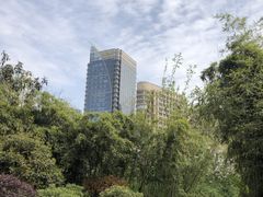 -唐城墙遗址公园