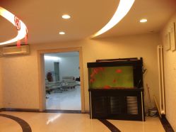 -西美医疗美容门诊部