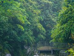 -龙苍沟森林公园