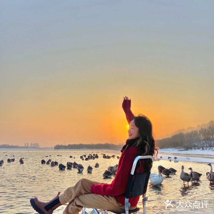 沈阳鸟岛｜🈚️门票🎫下面👇详细位置