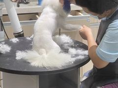 -宠颐生动物医院·小陆分院