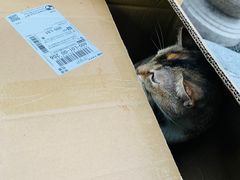 -荔康动物医院(康王北路店)