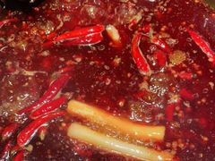 -蜀九香火锅(九眼桥店)