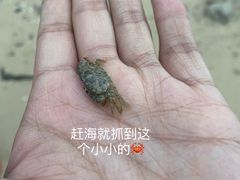 -三亚西岛海洋文化旅游区