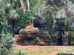 -海南热带野生动植物园