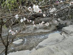 -狼牙山风景区