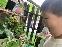 -四叶草托育园(张江园店)