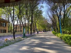 -森林公园(尖草坪区)