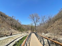 -白水寺森林公园