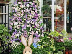 -FEI FEI FLOWER鲜花店·气球派对·宝宝宴布置(虹口德必运动Loft店)