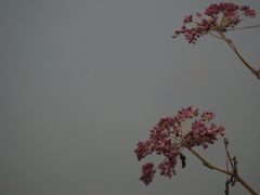 临安大明山景区-大明山自然探索公园