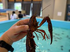 -好燃时刻潮玩运动馆·儿童乐园·室内游乐场·团建