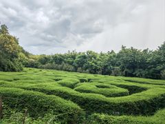 -大屏嶂森林公园