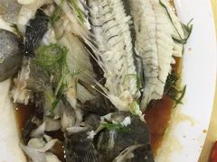 清蒸海鱼-双月饭店·20年老字号(新村店)