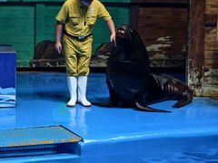 -石家庄市动物园