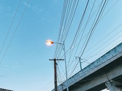 -白鹭湾湿地公园