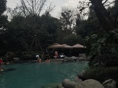 -青城道汤池