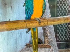 -青藏高原野生动物园